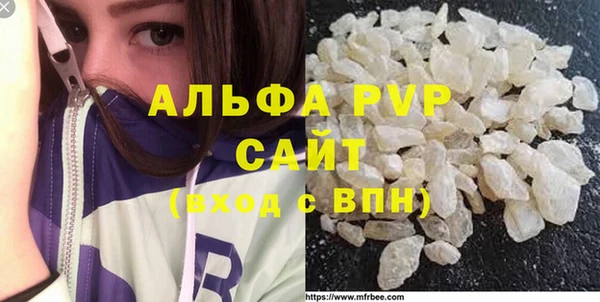 твердый Богданович