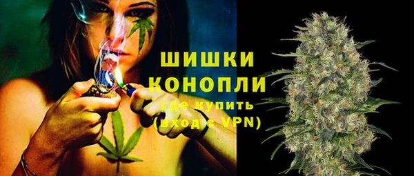 молекула духа Бронницы