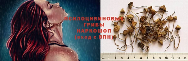 твердый Богданович
