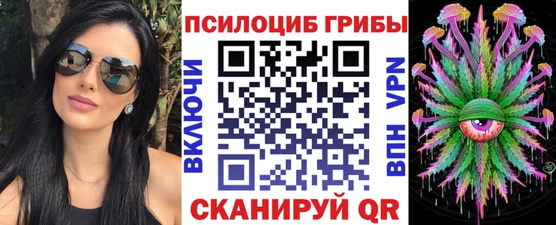 Купить закладки  Гаврилов-Ям  Галлюциногенные грибы прущие грибы 